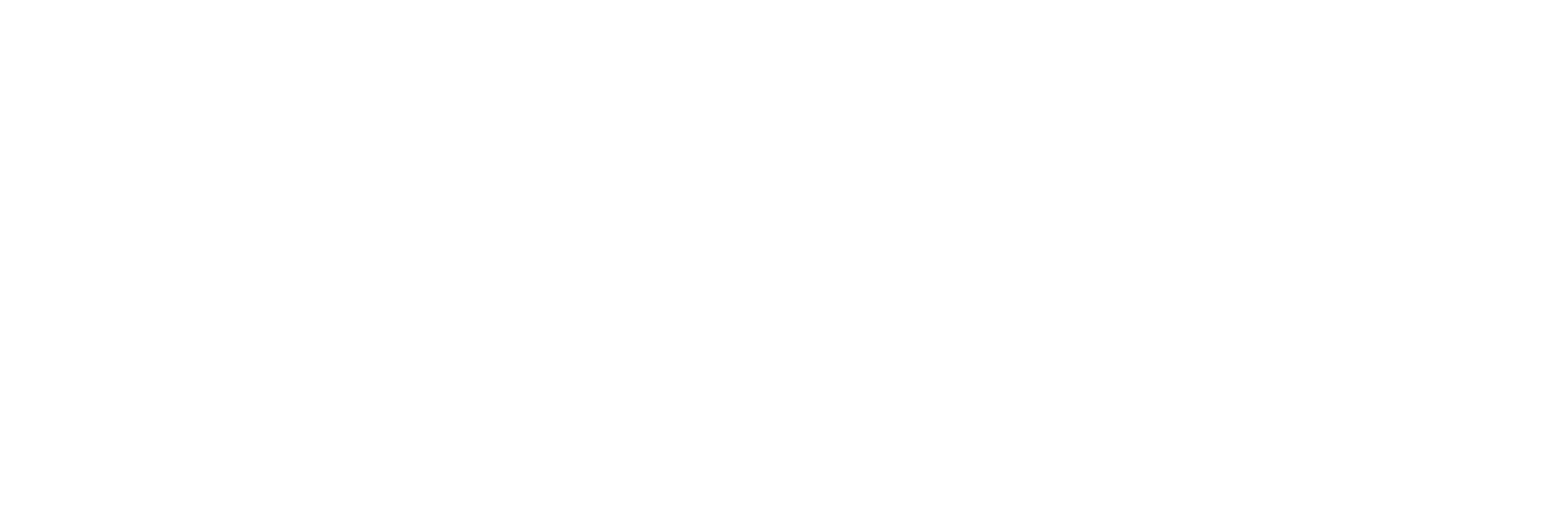 Optimal Service Group of Wells Fargo Advisors logo